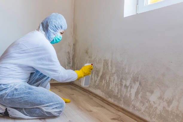 Mold Remediation specialist working in Richmond